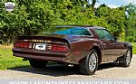 1977 Trans Am Thumbnail 35