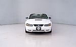 2004 Mustang GT 40TH Anniversary Thumbnail 4