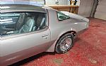 1979 Trans Am Thumbnail 10