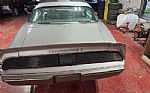 1979 Trans Am Thumbnail 35