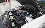 2012 Mustang Shelby GT350 Thumbnail 65