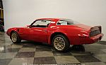 1979 Firebird Trans Am Tribute Thumbnail 9