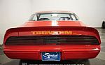 1979 Firebird Trans Am Tribute Thumbnail 11