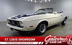 1973 Mustang Thumbnail 1