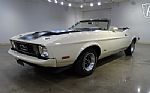 1973 Mustang Thumbnail 3