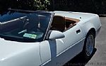 1991 Corvette Thumbnail 29