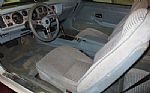 1979 Firebird Thumbnail 29