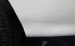 1979 Firebird Thumbnail 74