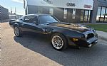 1980 Trans Am Thumbnail 2