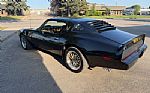 1980 Trans Am Thumbnail 6