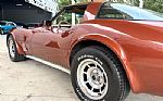 1981 Corvette Thumbnail 14