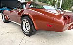 1981 Corvette Thumbnail 15