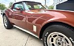1981 Corvette Thumbnail 18