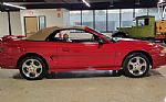 1994 Mustang Cobra Indy Pace Car Thumbnail 33