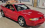 1994 Mustang Cobra Indy Pace Car Thumbnail 40