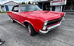 1965 GTO Thumbnail 4