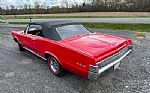 1965 GTO Thumbnail 25