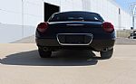 2005 Thunderbird Thumbnail 13