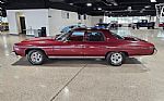 1973 Caprice Thumbnail 4