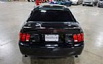 2003 Mustang SVT Cobra Thumbnail 5
