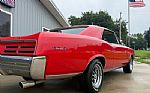 1967 GTO Thumbnail 6