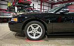 1999 Mustang SVT Cobra Convertible Thumbnail 3
