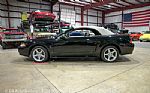 1999 Mustang SVT Cobra Convertible Thumbnail 21
