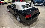 1999 Mustang SVT Cobra Convertible Thumbnail 30
