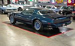 1979 Trans Am Thumbnail 4