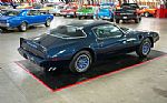 1979 Trans Am Thumbnail 14