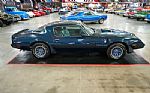 1979 Trans Am Thumbnail 15