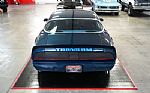 1979 Trans Am Thumbnail 13