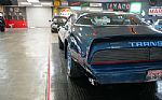 1979 Trans Am Thumbnail 43