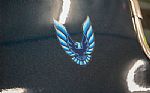 1979 Trans Am Thumbnail 53