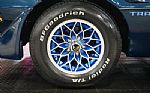 1979 Trans Am Thumbnail 54