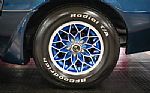 1979 Trans Am Thumbnail 55