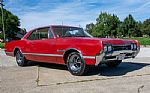 1966 442 Thumbnail 5