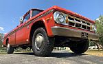 1969 D200 Pickup Thumbnail 7