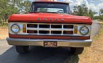1969 D200 Pickup Thumbnail 62