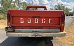 1969 D200 Pickup Thumbnail 91