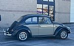 1966 Beetle Thumbnail 55