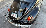 1966 Beetle Thumbnail 75