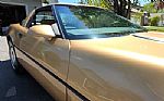 1984 Corvette Thumbnail 55