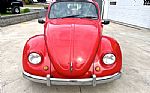 1975 Beetle Thumbnail 12
