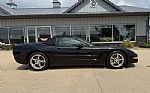 1999 Corvette Thumbnail 6