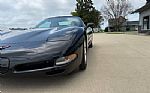 1999 Corvette Thumbnail 12