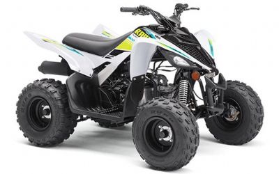 2022 Yamaha Raptor 90