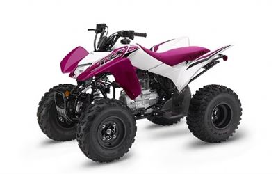 2023 Honda TRX 250X