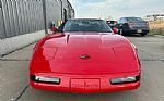 1991 Corvette Thumbnail 17