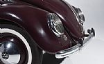 1950 Beetle Thumbnail 16